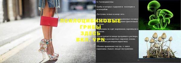 ALPHA PVP Арсеньев