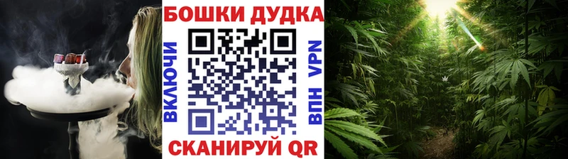 МАРИХУАНА ГИДРОПОН Шадринск